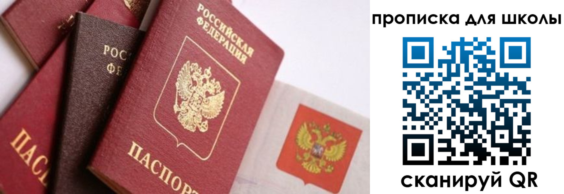 прописка поиск в Кингисеппе